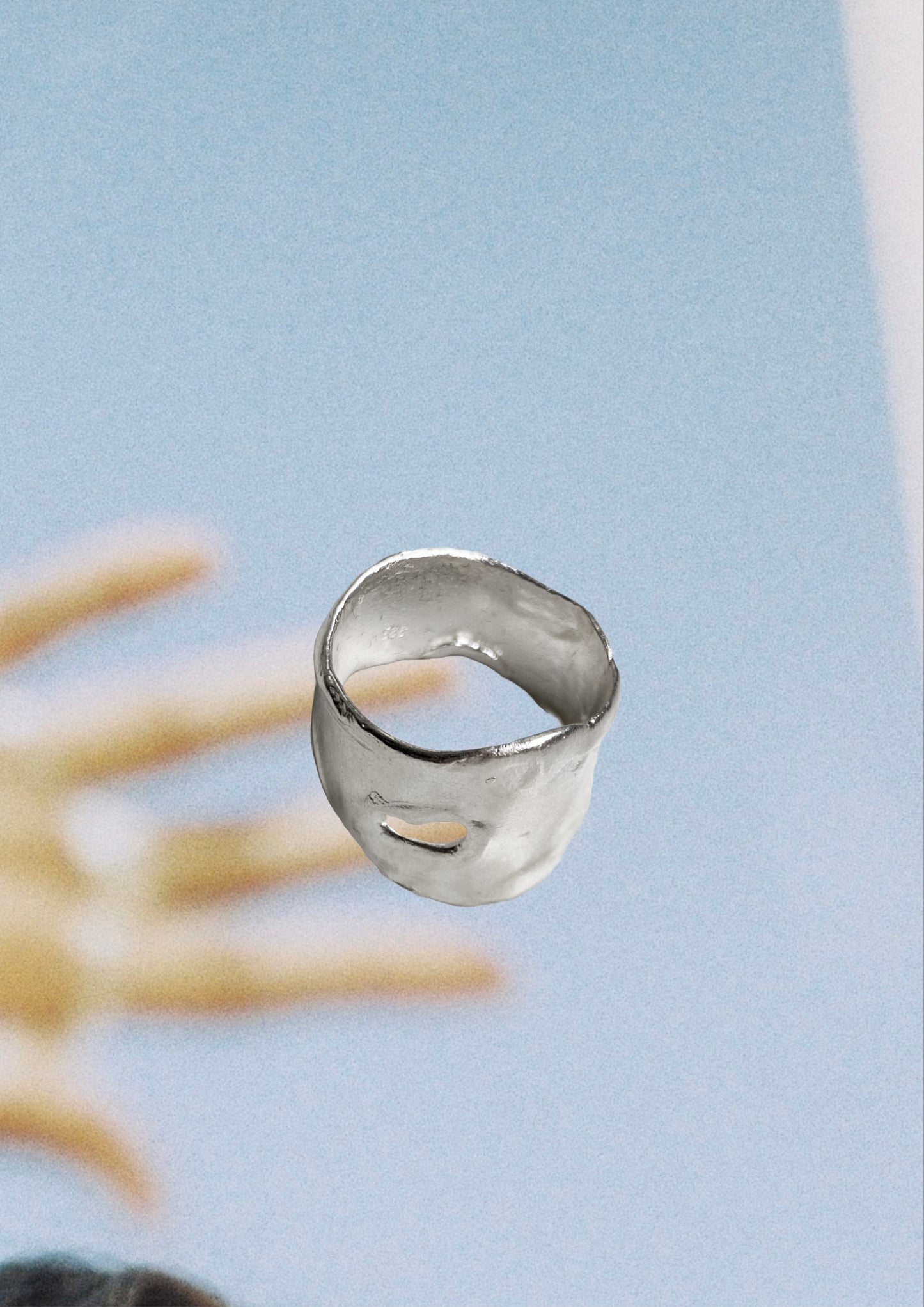 Roni Ring